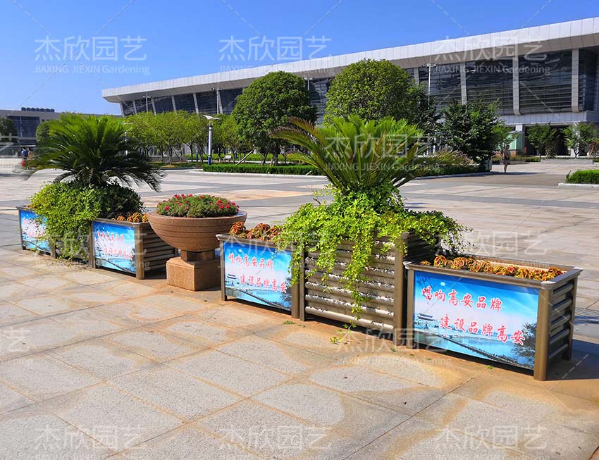 高鐵廣場綠化南昌案例 高鐵廣場綠化南昌案例